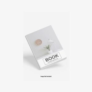 Programming Basics for Absolute